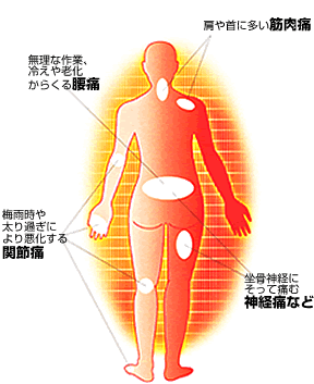 小太郎漢方製薬｜商品情報